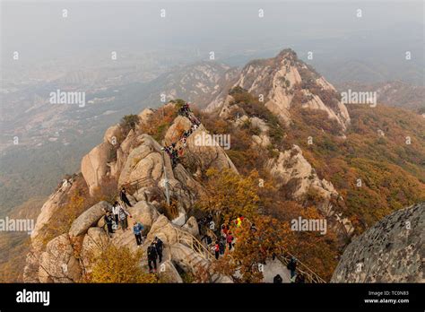 鳳凰山與陽江的風景之美